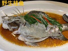 -浙里会