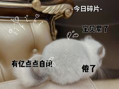 -龙猫仔乐园(惠福东路店)