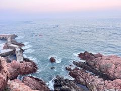 -小麦岛公园