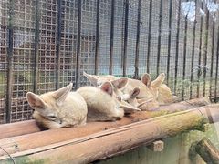 -昆明动物园