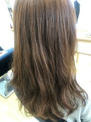 -E.L.K造型momopark店