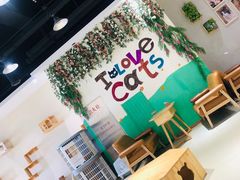 -藏猫猫咖啡主题馆(中央大道店)