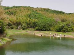 -石塘人家