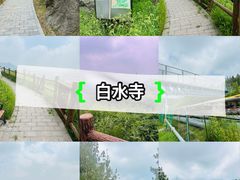 -白水寺森林公园