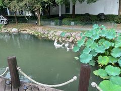 -苏州香山国际大酒店