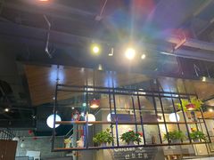 -分米鸡DM Chicken(银泰城店)