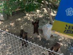 -石家庄市动物园