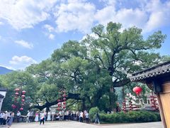 -新安江山水画廊风景区