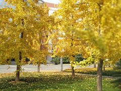 -中国计量大学(西校区)