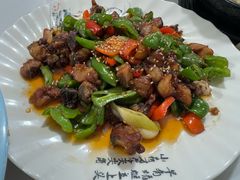 -煲来饱去冷水鱼