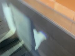 -西贝(吴江路湟普汇店)