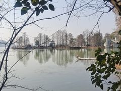 -东湖落雁景区