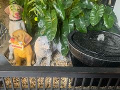 -TrueLove @ Neverland (Husky Cafe)