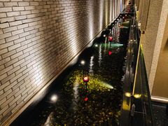 -晶采轩(虹桥路店)