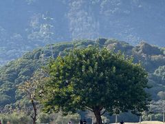 -风云岭森林公园