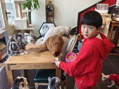 -猫小院猫主题餐厅(南锣旗舰店)