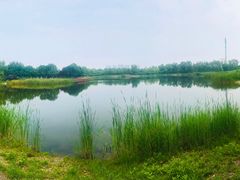 -永定河休闲森林公园