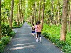 -上海怡沁园度假酒店