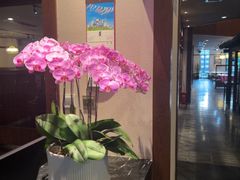 -ZEN采蝶轩·粤味臻鲜·手作点心·商务宴请(泰州店)