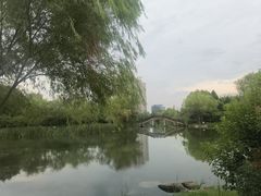 -洋湖国家湿地公园