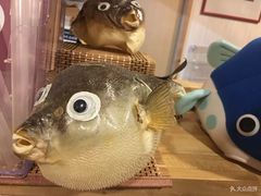 -玄品河豚(那覇國際通里之関)