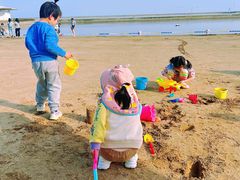 -碧海金沙