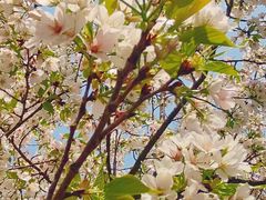 -白塘生态植物园