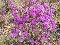 -哈尔滨师范大学(松北校区)