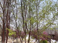 -水西公园