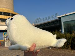 -太平洋海底世界