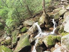 -三块石国家森林公园