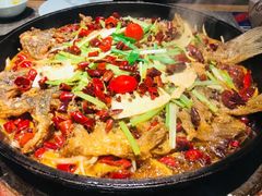 -老板恋上鱼(恒隆广场店)