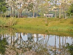 -四海公园(南山区)
