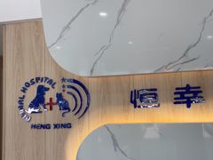 -恒幸动物医院·急重症转诊中心·神经内外科·CT核磁
