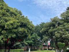 -洛阳周公庙博物馆
