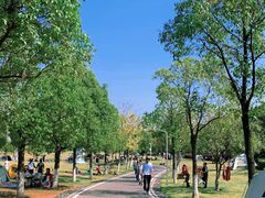 -洋湖国家湿地公园