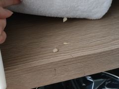 -北京中信金陵酒店
