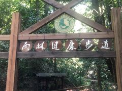 -西双版纳原始森林公园