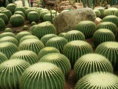 -南通洲际绿博园