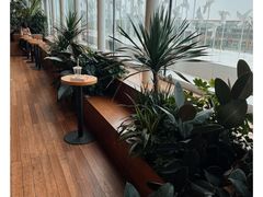 -Seesaw Coffee(朝阳大悦城店)