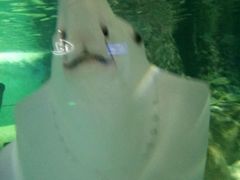 -常州海昌海洋探索馆
