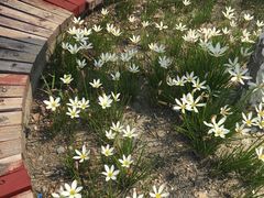 -海底捞火锅(亲子主题北金鹰店)