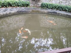 -燕晗山郊野公园