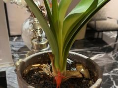 -万泊酒店(长沙五一广场国金中心店)