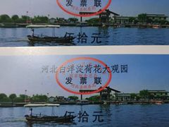 -白洋淀景区