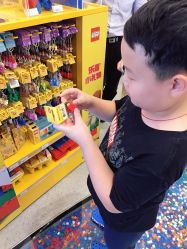 -乐高品牌旗舰店(人民广场店)