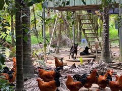 -兴隆槟榔园休闲农庄