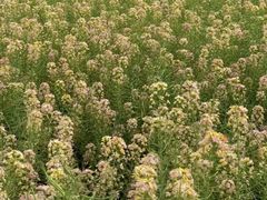 -中国天府农业博览园