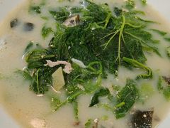 -鸽鸟轩(石岐店)