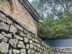 -白水寺森林公园